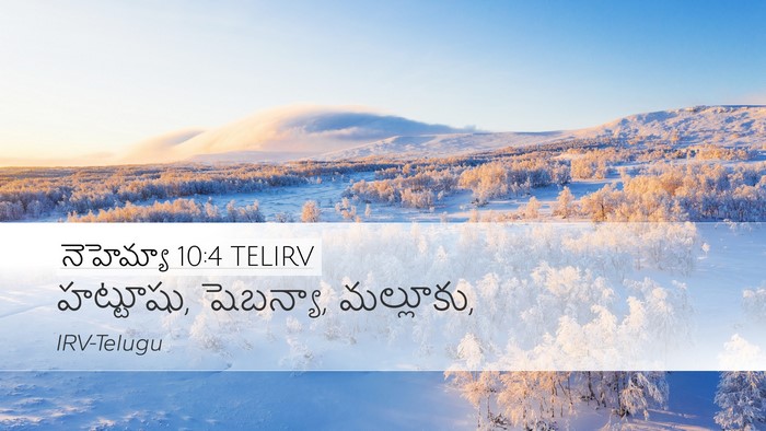 నెహెమ్యా 10:4 TELIRV Desktop Wallpaper - హట్టూషు, షెబన్యా, - Desktop Bible Verse Wallpaper