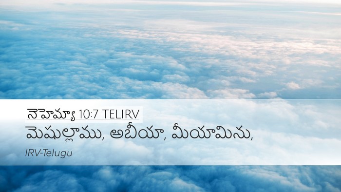 నెహెమ్యా 10:7 TELIRV Desktop Wallpaper - మెషుల్లాము, అబీయా, - Desktop Bible Verse Wallpaper