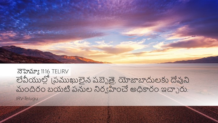 నెహెమ్యా 11:16 TELIRV Desktop Wallpaper - లేవీయుల్లో - Desktop Bible Verse Wallpaper