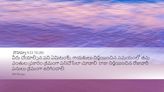 నెహెమ్యా 11:23 TELIRV Bible Verse Image