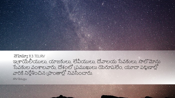 నెహెమ్యా 11:3 TELIRV Bible Verse Image
