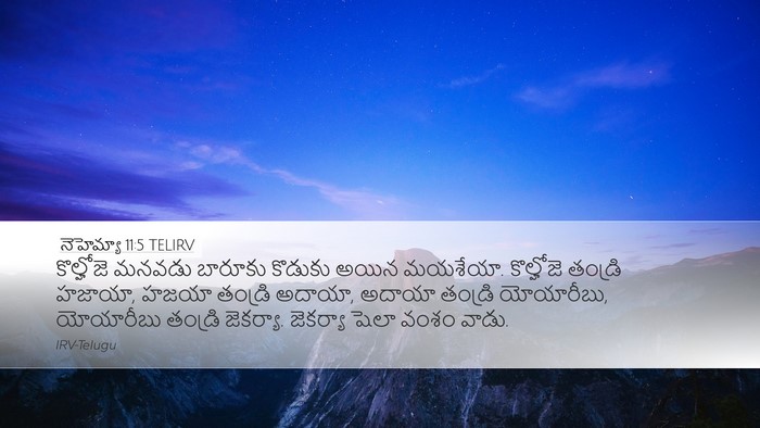 నెహెమ్యా 11:5 TELIRV Bible Verse Image
