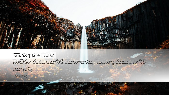 నెహెమ్యా 12:14 TELIRV Bible Verse Image