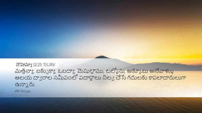 నెహెమ్యా 12:25 TELIRV Bible Verse Image