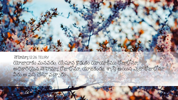 నెహెమ్యా 12:26 TELIRV Bible Verse Image