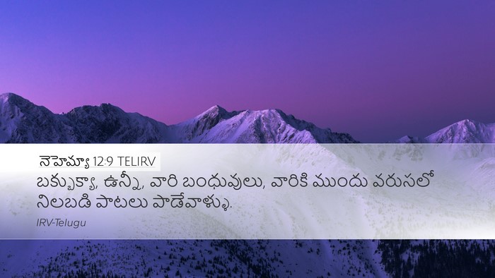 నెహెమ్యా 12:9 TELIRV Desktop Wallpaper - బక్బుక్యా, ఉన్నీ, - Desktop Bible Verse Wallpaper