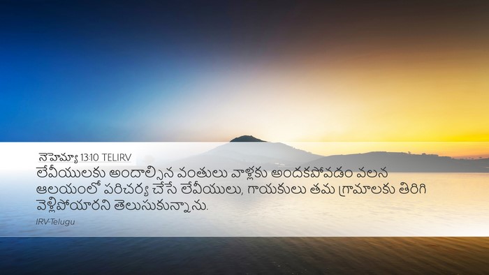 నెహెమ్యా 13:10 TELIRV Bible Verse Image
