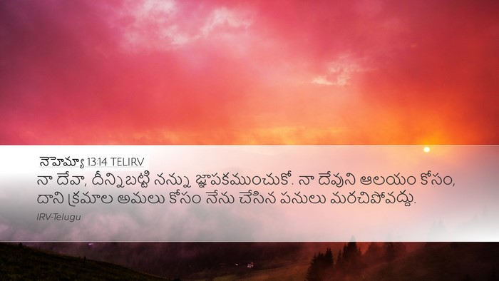 నెహెమ్యా 13:14 TELIRV Bible Verse Image