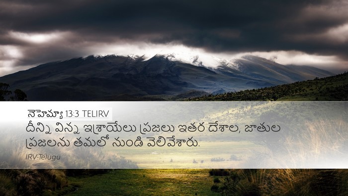 నెహెమ్యా 13:3 TELIRV Bible Verse Image