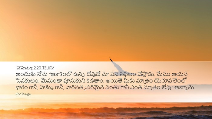 నెహెమ్యా 2:20 TELIRV Bible Verse Image