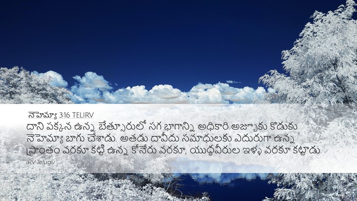 నెహెమ్యా 3:16 TELIRV Bible Verse Image