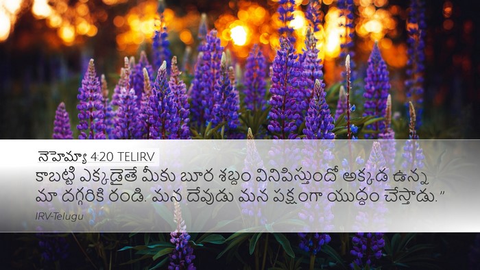 నెహెమ్యా 4:20 TELIRV Bible Verse Image