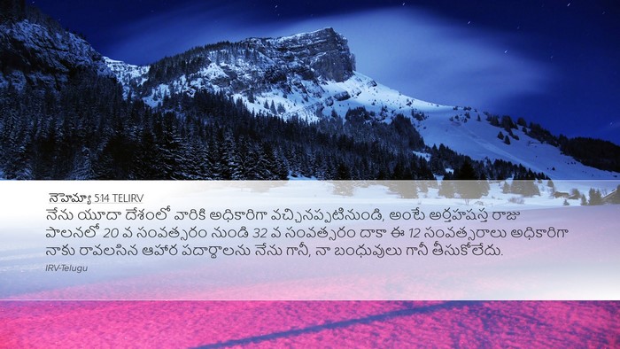 నెహెమ్యా 5:14 TELIRV Bible Verse Image