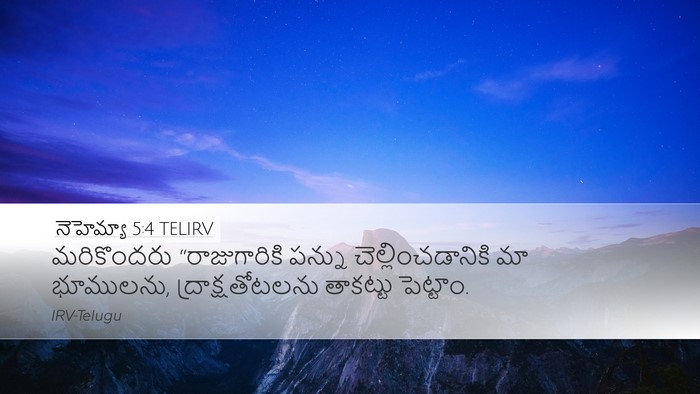 నెహెమ్యా 5:4 TELIRV Bible Verse Image