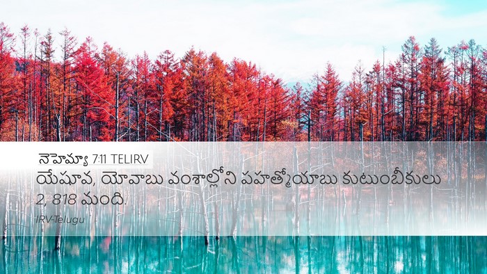 నెహెమ్యా 7:11 TELIRV Desktop Wallpaper - యేషూవ, యోవాబు - Desktop Bible Verse Wallpaper