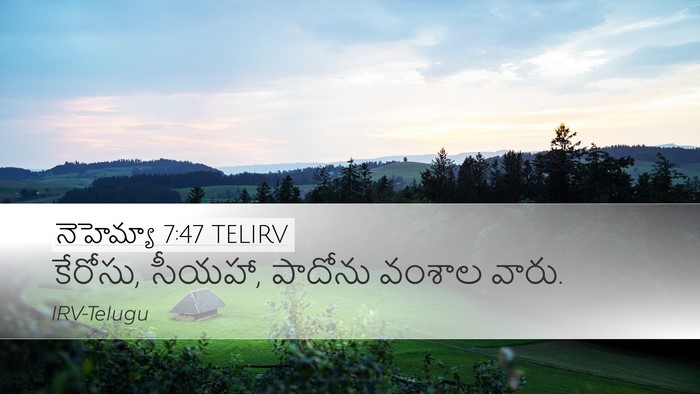 నెహెమ్యా 7:47 TELIRV Desktop Wallpaper - కేరోసు, సీయహా, - Desktop Bible Verse Wallpaper