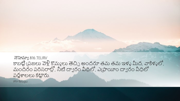 నెహెమ్యా 8:16 TELIRV Bible Verse Image