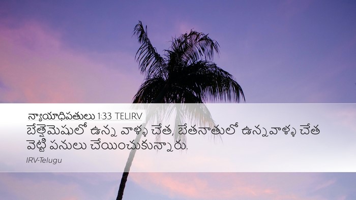న్యాయాధిపతులు 1:33 TELIRV Bible Verse Image