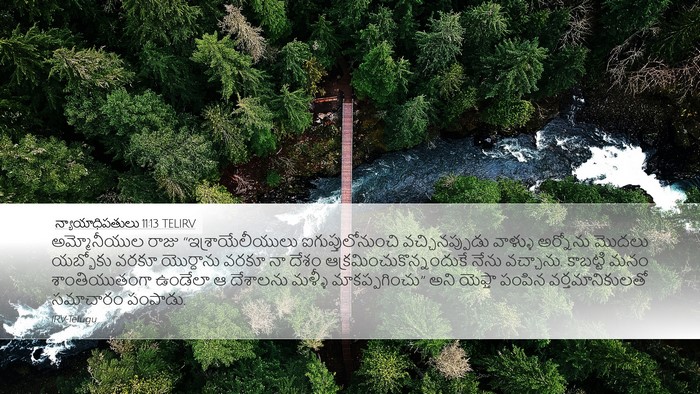 న్యాయాధిపతులు 11:13 TELIRV Bible Verse Image