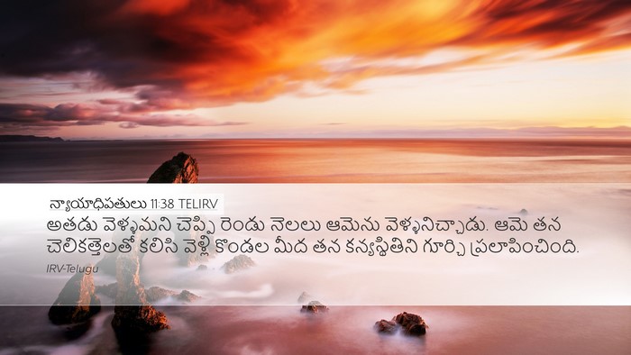 న్యాయాధిపతులు 11:38 TELIRV Bible Verse Image