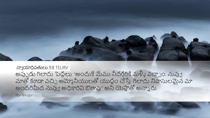 న్యాయాధిపతులు 11:8 TELIRV Bible Verse Image