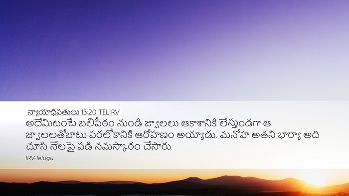న్యాయాధిపతులు 13:20 TELIRV Bible Verse Image