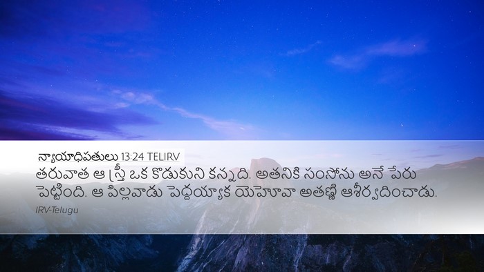 న్యాయాధిపతులు 13:24 TELIRV Bible Verse Image