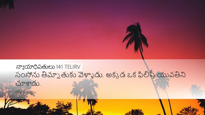 న్యాయాధిపతులు 14:1 TELIRV Bible Verse Image