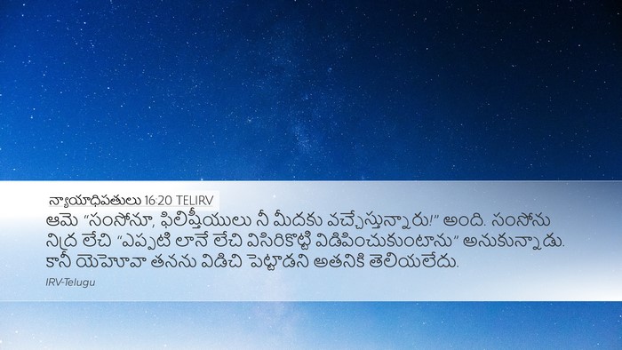 న్యాయాధిపతులు 16:20 TELIRV Bible Verse Image