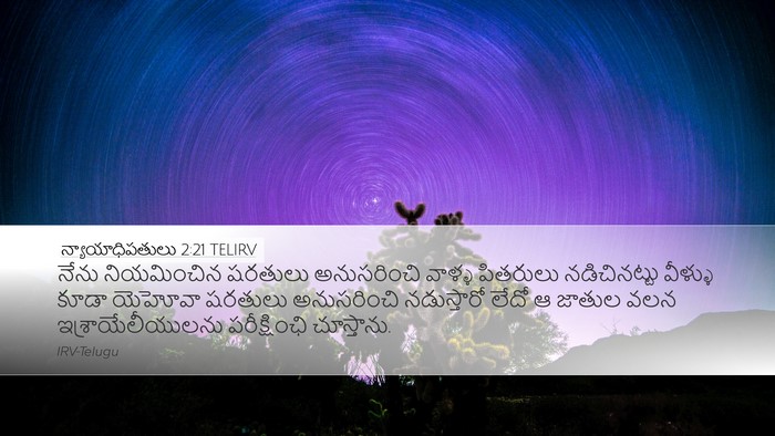 న్యాయాధిపతులు 2:21 TELIRV Bible Verse Image