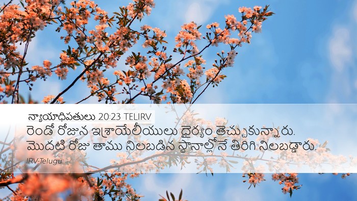 న్యాయాధిపతులు 20:23 TELIRV Bible Verse Image