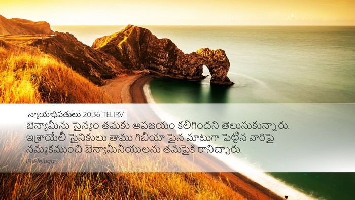 న్యాయాధిపతులు 20:36 TELIRV Bible Verse Image