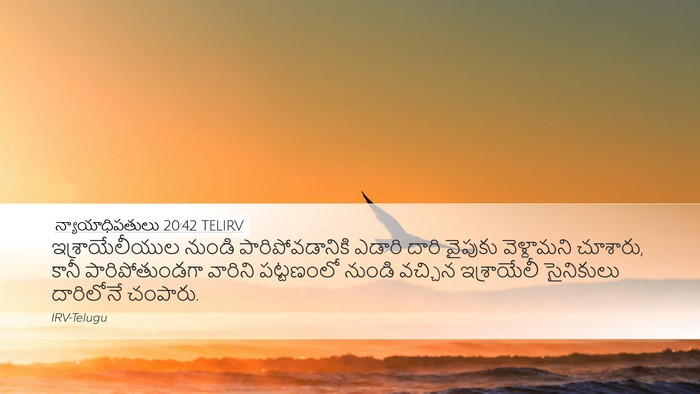 న్యాయాధిపతులు 20:42 TELIRV Bible Verse Image