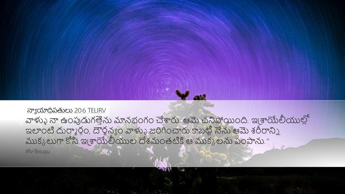 న్యాయాధిపతులు 20:6 TELIRV Bible Verse Image