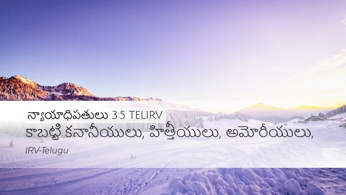 న్యాయాధిపతులు 3:5 TELIRV Bible Verse Image