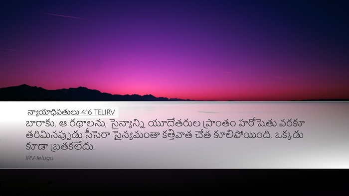 న్యాయాధిపతులు 4:16 TELIRV Bible Verse Image