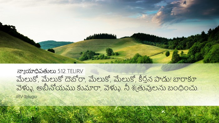 న్యాయాధిపతులు 5:12 TELIRV Bible Verse Image