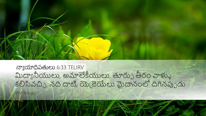 న్యాయాధిపతులు 6:33 TELIRV Bible Verse Image
