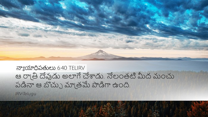న్యాయాధిపతులు 6:40 TELIRV Desktop Wallpaper - ఆ రాత్రి దేవుడు - Desktop Bible Verse Wallpaper