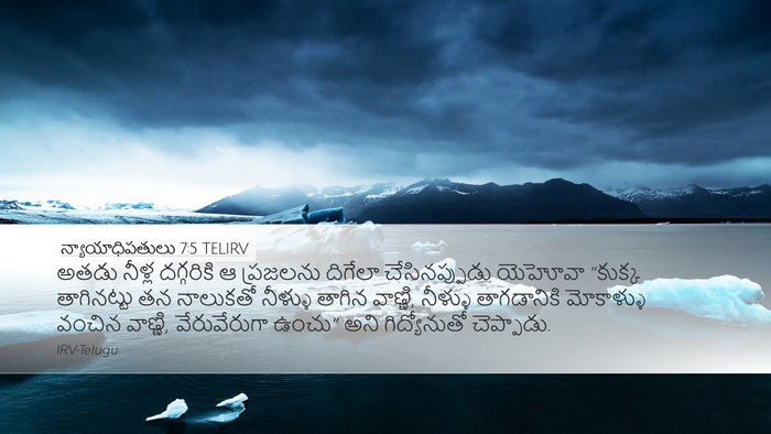 న్యాయాధిపతులు 7:5 TELIRV Bible Verse Image