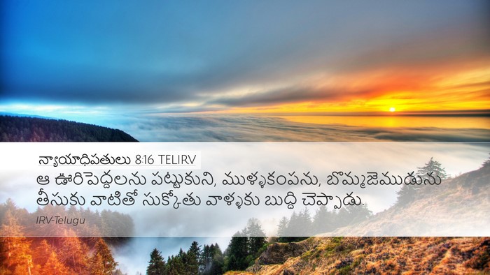 న్యాయాధిపతులు 8:16 TELIRV Bible Verse Image