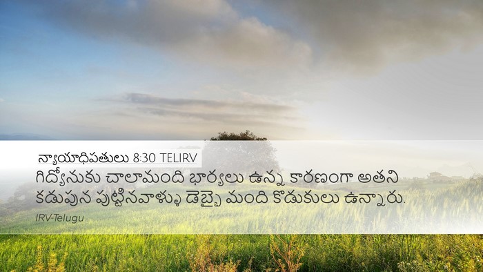 న్యాయాధిపతులు 8:30 TELIRV Bible Verse Image