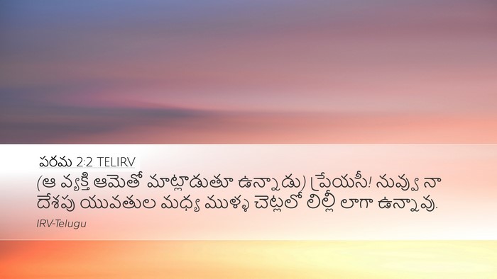 పరమ 2:2 TELIRV Bible Verse Image