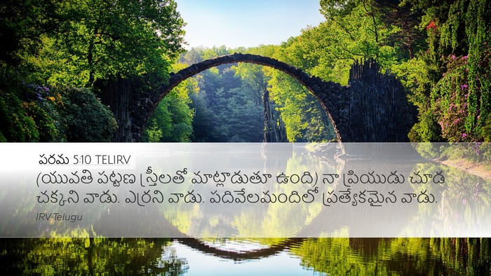 పరమ 5:10 TELIRV Bible Verse Image