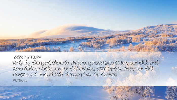 పరమ 7:12 TELIRV Bible Verse Image