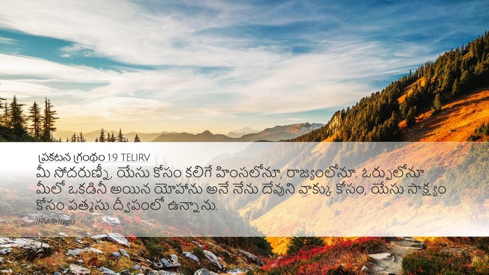 ప్రకటన గ్రంథం 1:9 TELIRV Bible Verse Image