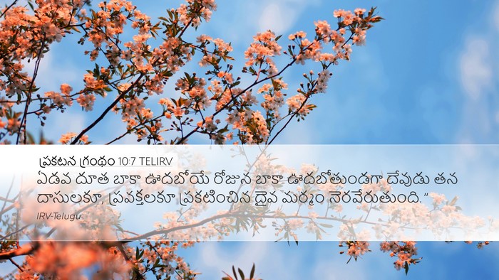 ప్రకటన గ్రంథం 10:7 TELIRV Bible Verse Image