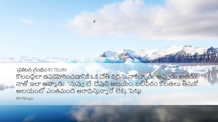 ప్రకటన గ్రంథం 11:1 TELIRV Bible Verse Image