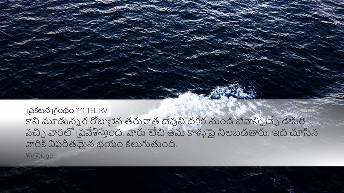 ప్రకటన గ్రంథం 11:11 TELIRV Bible Verse Image