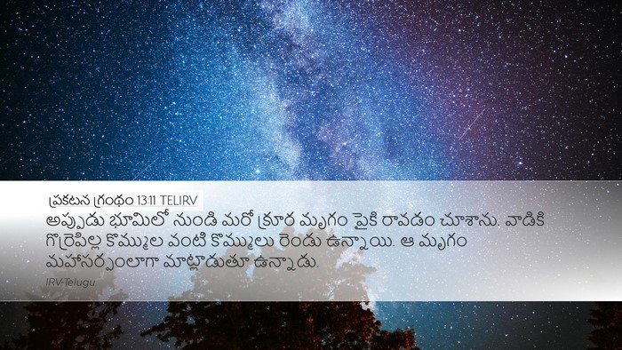 ప్రకటన గ్రంథం 13:11 TELIRV Bible Verse Image